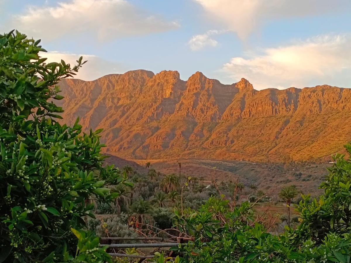 Django Villa Santa Lucia De Tirajana Luaran gambar